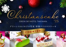 xmasscake25