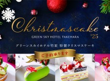 xmasscake25