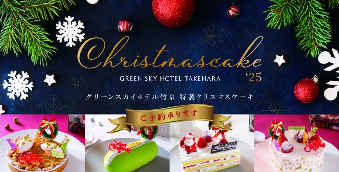 xmasscake25