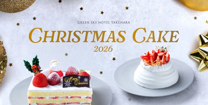 2026_xmascake